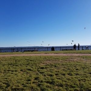 Meet your Posher, Gaylyn